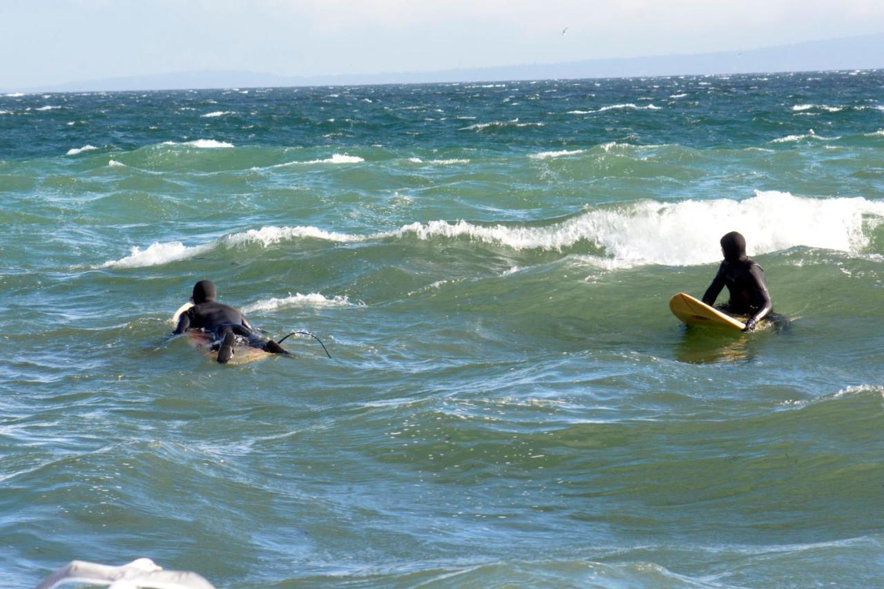 Oceanfront Paradise Comox Dış mekan fotoğraf