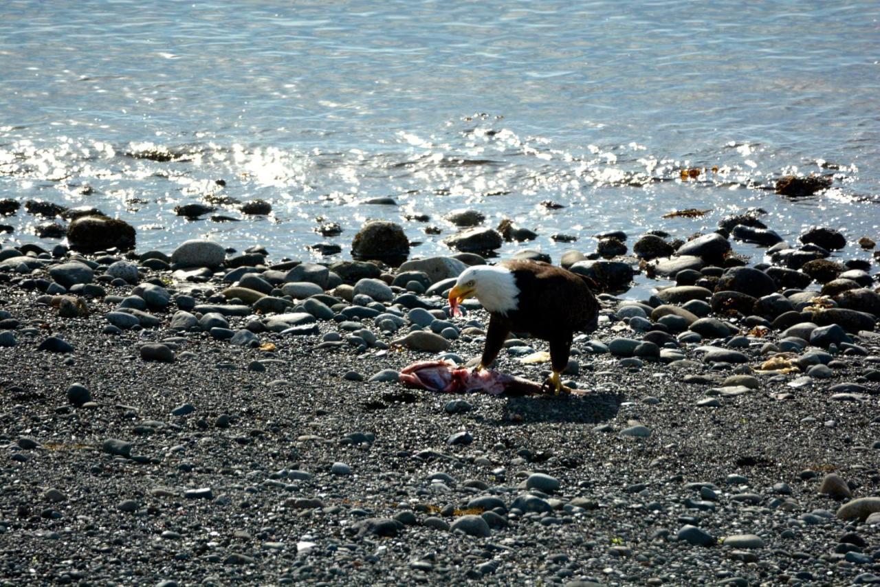 Oceanfront Paradise Comox Dış mekan fotoğraf