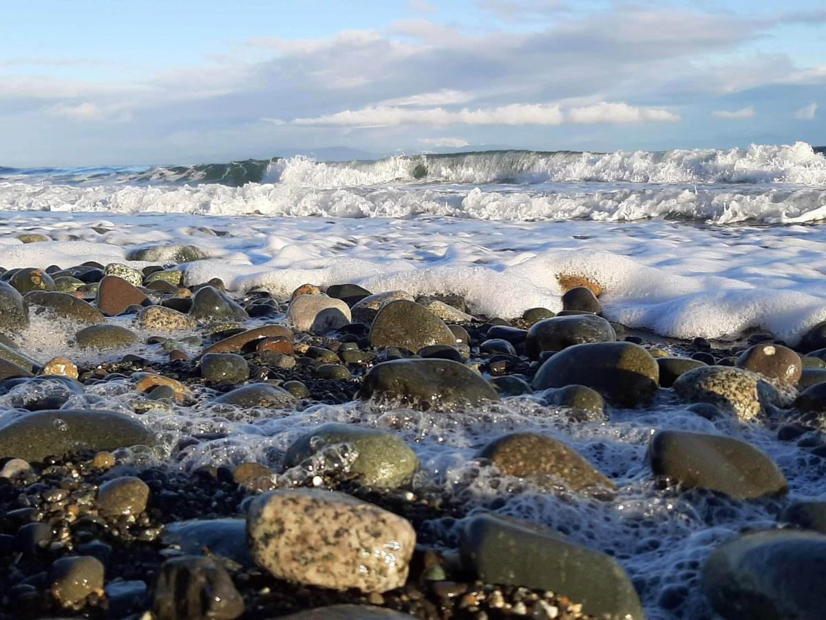 Oceanfront Paradise Comox Dış mekan fotoğraf